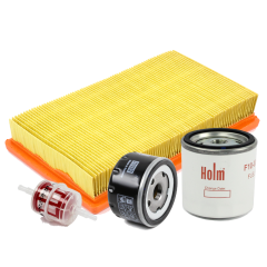 Holm K80-5310-HOL Trime X-Eco Lighting Tower 500 Hour Service Kit